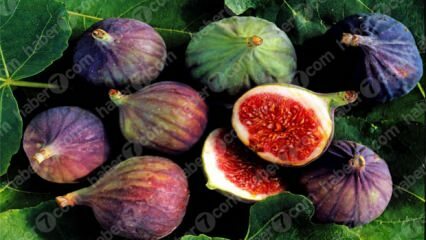 Jakie są zalety figi? Cudowne zalety suszonych i mokrych fig ...