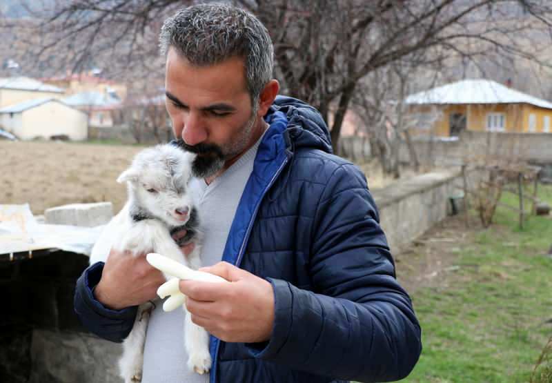 Murat Aydemir uratował życie koziołkowi