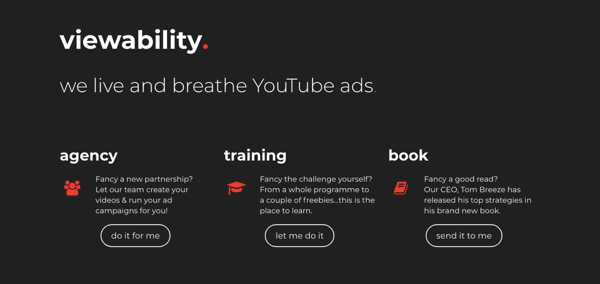 Zrzut ekranu strony internetowej Viewability, agencji reklamowej YouTube.