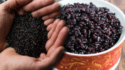 Jakie są zalety czarnego ryżu? Jak nazywa się czarny ryż? Jak spożywa się czarny ryż?