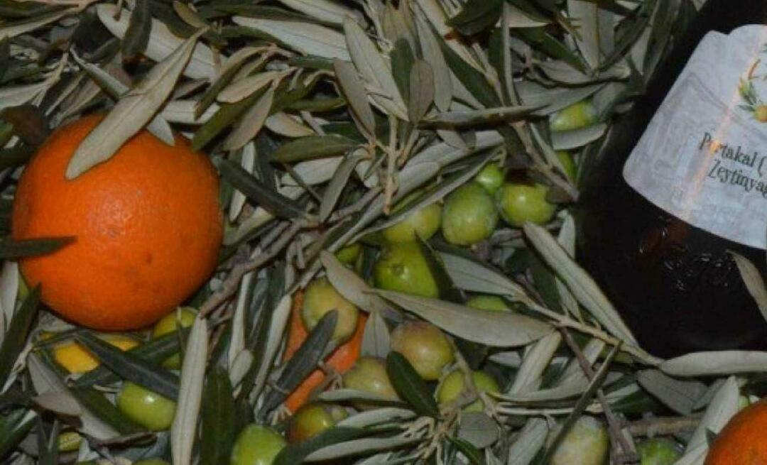 Przedsiębiorczynie z Balıkesir produkowały pomarańczową oliwę z oliwek!