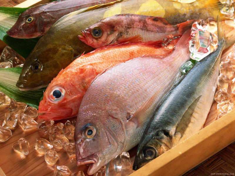Wskazówki dotyczące wyboru świeżych ryb od jury Masterchef Mehmet Chef