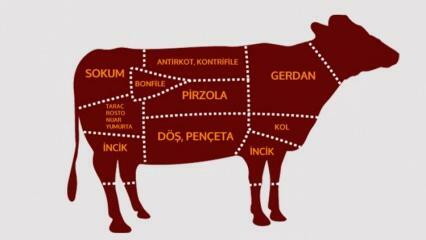Jakie są części wołowiny? Które mięso jest wycinane z którego regionu?