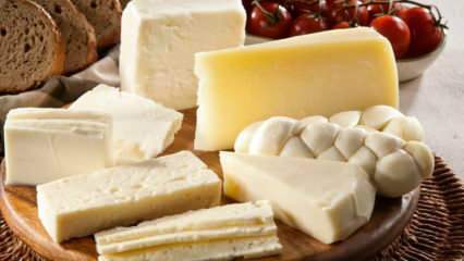 Jak jest przechowywany ser? Jak przechowywać ser z lodówki