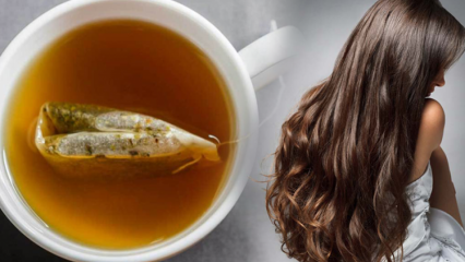 Jakie są zalety zielonej herbaty na włosy? Przepis na maseczkę do skóry z zieloną herbatą