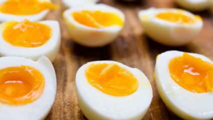 Jak należy przechowywać gotowane jajko? Wskazówki dotyczące idealnego gotowania jajek