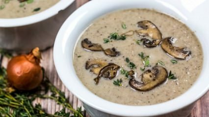 Pyszny przepis na zupę z grzybów mlecznych
