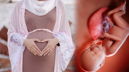 Modlitwy do odmawiania za zdrowie dziecka w ciąży i dhikr esmaül hüsna