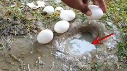 Zjawisko YouTube złapane przez rozbicie jajka w wodzie! Oto zdumiewający wynik ...