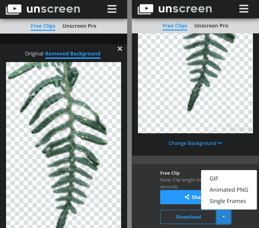 obraz narzędzia do tworzenia Unseen GIF