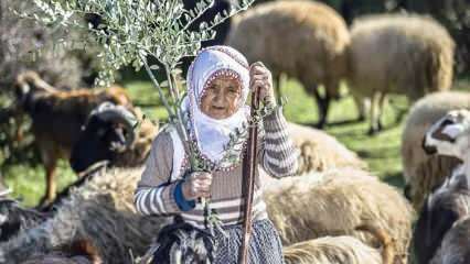 Ciotka Fatma była pasterzem u podnóża gór Amanos od pół wieku!