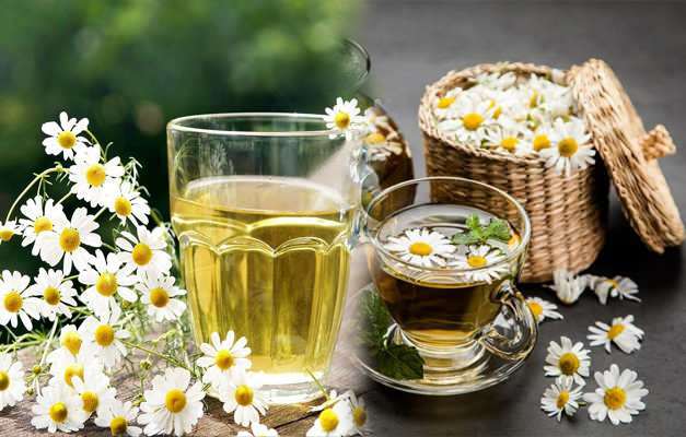 Czy herbata rumiankowa traci na wadze?