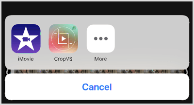 Kliknij ikonę CropVS, aby otworzyć narzędzia aplikacji.