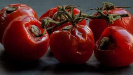 Nie wyrzucaj zgniłych pomidorów do śmieci! To działa tak dobrze