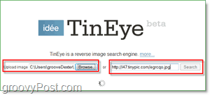 Screenshot TinEye - wyszukiwanie obrazu w celu uzyskania duplikatów i większych wersji