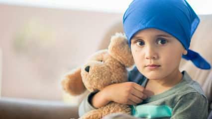 Co to jest rak krwi (białaczka)? Objawy i leczenie białaczki u dzieci