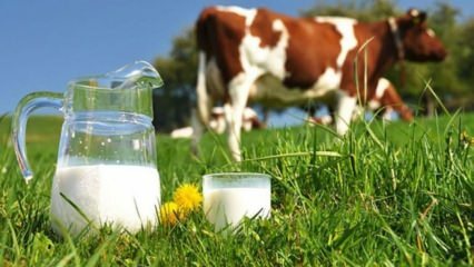 Co to jest alergia na mleko? Kiedy alergia na mleko przechodzi u niemowląt? Alergia na mleko krowie ...