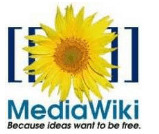 Wtyczka MediaWiki dla Microsoft Word 2010 i 2007