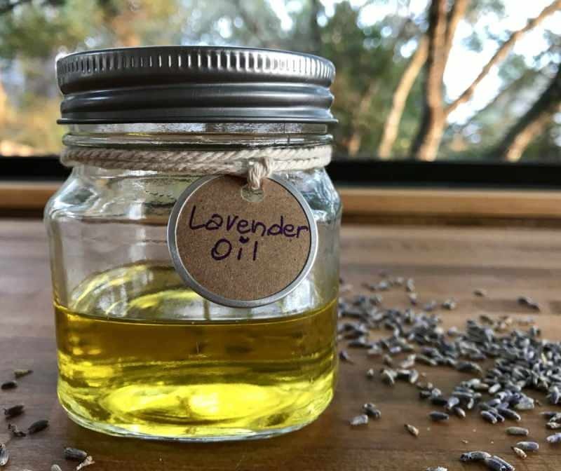 Jak pozyskuje się olejek lawendowy? Jak w domu ekstrahować olejek lawendowy