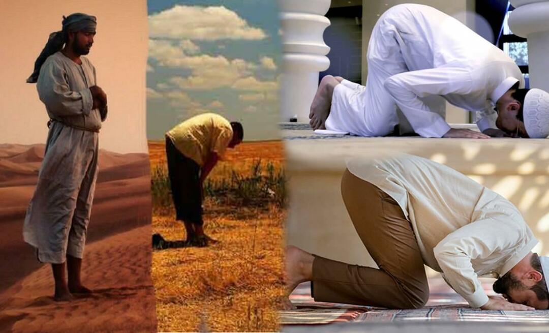 Co oznaczają ruchy ciała podczas modlitwy? Jaka jest mądrość stania, kłaniania się i dwóch pokłonów?