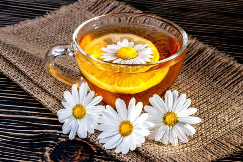 Czy herbata rumiankowa przyspiesza metabolizm?
