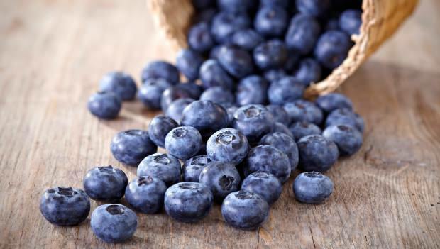 Jak zrozumieć Blueberry?
