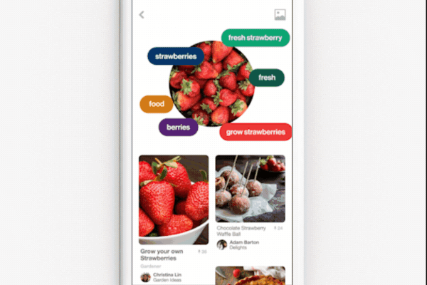 Pinterest wprowadził możliwość używania aparatu z obiektywem do robienia zdjęć całego dania i uzyskiwania przepisów na odtworzenie posiłku.