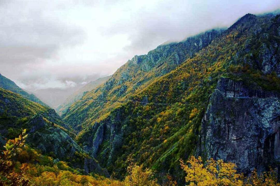 Park Narodowy Hatila Valley