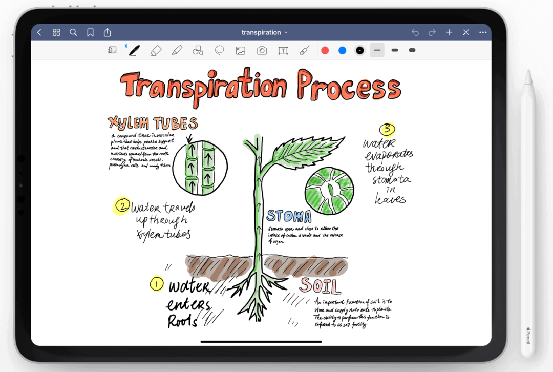 Najlepsze aplikacje Apple Pencil i dlaczego warto ich używać