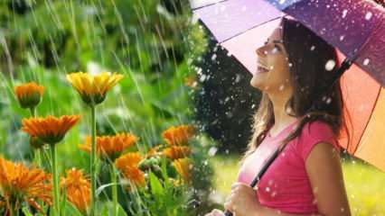 Czy kwietniowy deszcz leczy? Jakie modlitwy należy czytać w wodzie deszczowej? Korzyści z kwietniowego deszczu