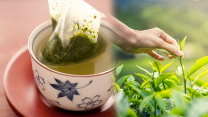 Czy drżenie zielonej herbaty osłabia? Jaka jest różnica między torebkami a parzoną herbatą? Jeśli pijesz zieloną herbatę przed snem ...