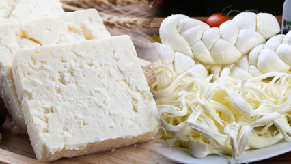 Jak rozumieć dobry ser? Wskazówki dotyczące wyboru sera