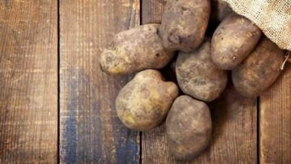 Jak przechowywane są ziemniaki?