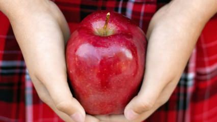 Jak ocenia się zgniłe jabłka? 