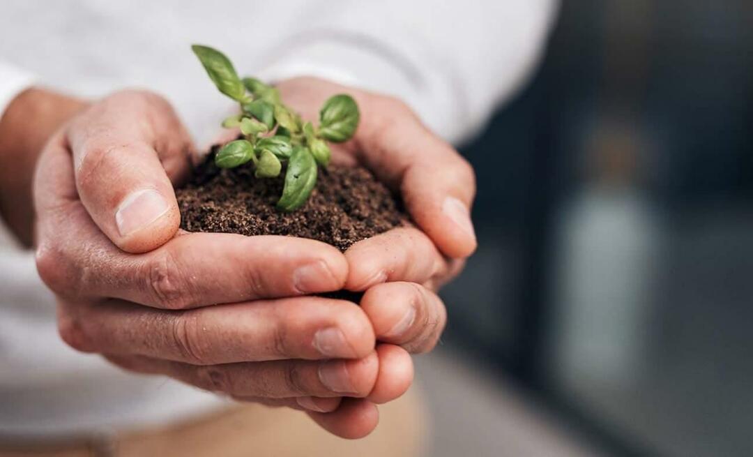 Co to jest zero odpadów? Jaki jest cel zero waste? Mobilizacja „Zero Waste” od Emine Erdoğan