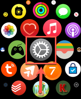 Aplikacja ustawień zegarka Apple