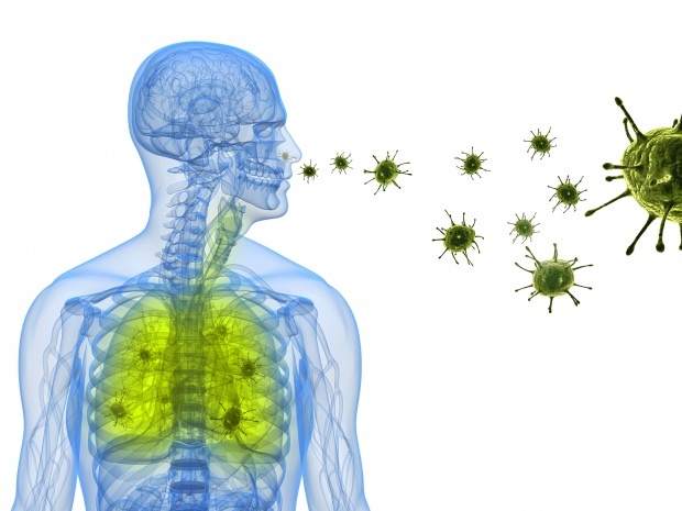 wirus korony osiada w nosie przez płuca