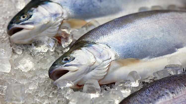 Czy zmienia się smak ryby wrzucanej do zamrażarki?