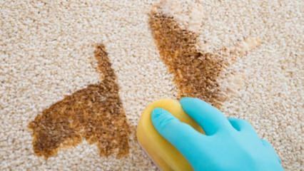 Jak zrobić spray do czyszczenia dywanów w domu?