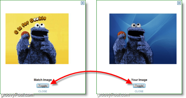 Screenshot TinEye - porównanie oryginalnego obrazu i dopasowania obrazu