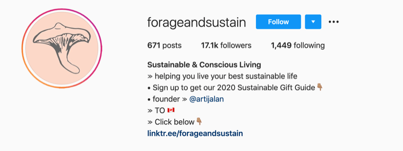 Przykład profilu na Instagramie od @forageandsustain z notatką w informacjach o profilu, aby kliknąć łącze biologiczne, aby uzyskać więcej