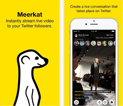aplikacja meerkat