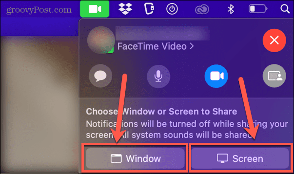 okno FaceTime lub udostępnianie ekranu