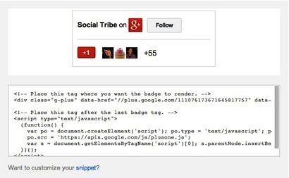 przykład kodu plakietki Google +