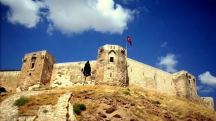 W historycznym zamku Gaziantep odkryto tunele i akwen wodny!