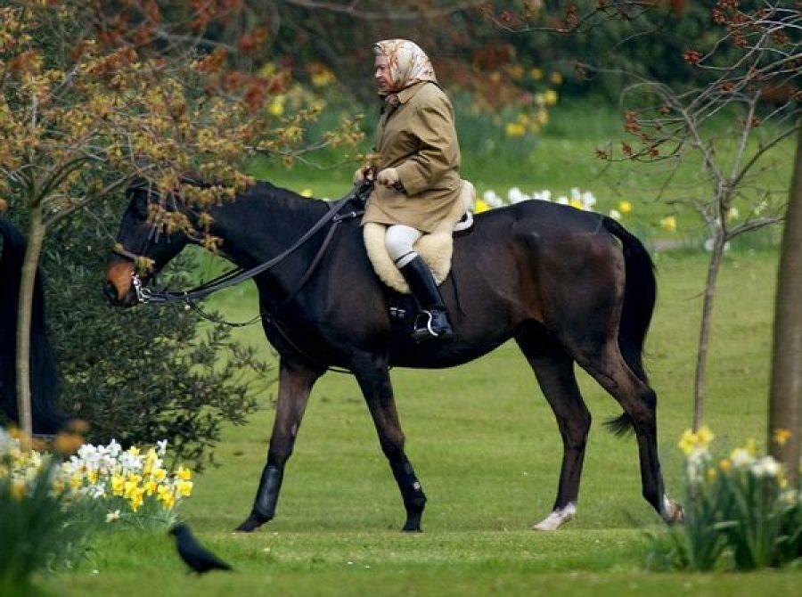 królowa Elżbiety na przejażdżce konnej 