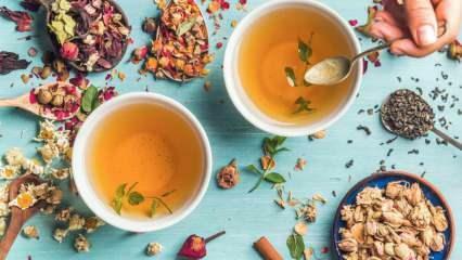 Jakie herbatki ziołowe najszybciej spalają tłuszcz? 7 najskuteczniejszych herbat ziołowych spalających tłuszcz! 