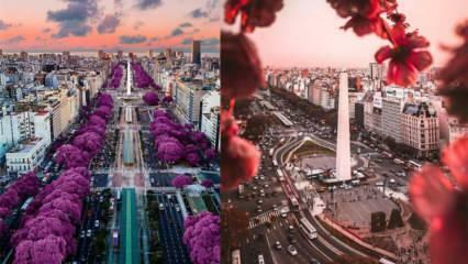 Miasto dobrej pogody: miejsca do odwiedzenia w Buenos Aires!