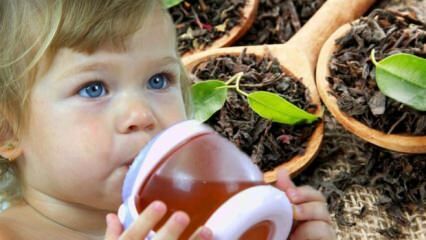 Czy dzieci mogą pić herbatę?