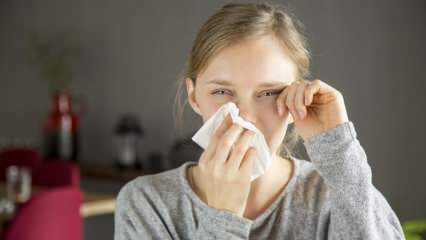 Co powoduje gorączkę oczu? Jakie są objawy gorączki oka? Jak leczy się gorączkę oczu?